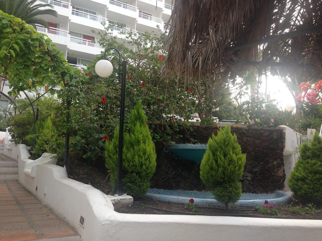 Ponderosa Apartament